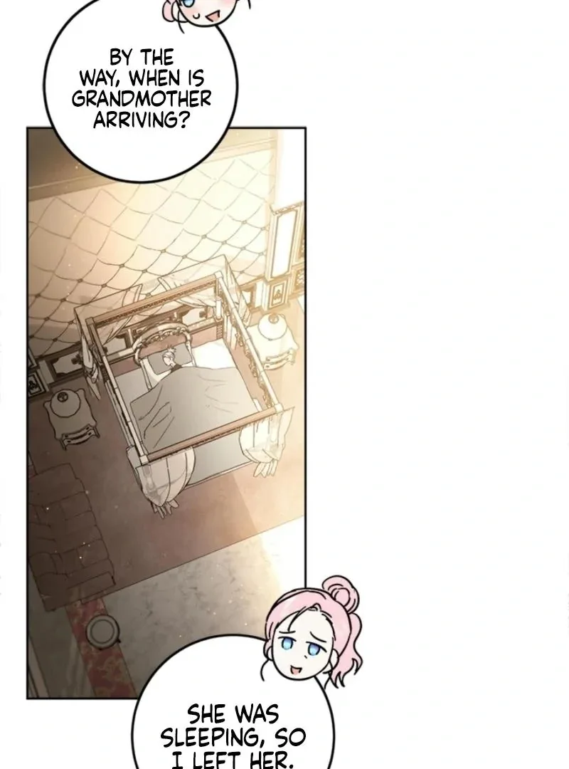 The Princess’s Double Life Chapter 125 page 71