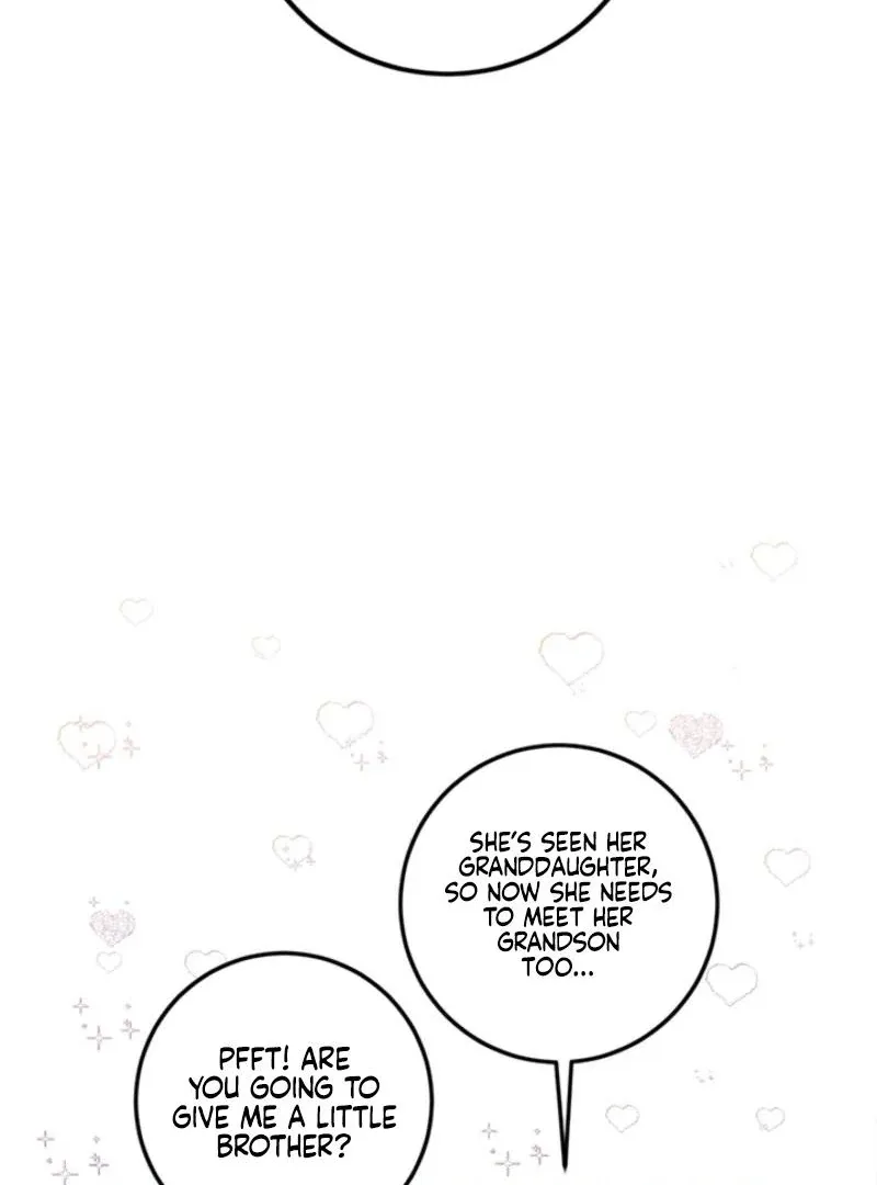 The Princess’s Double Life Chapter 125 page 74