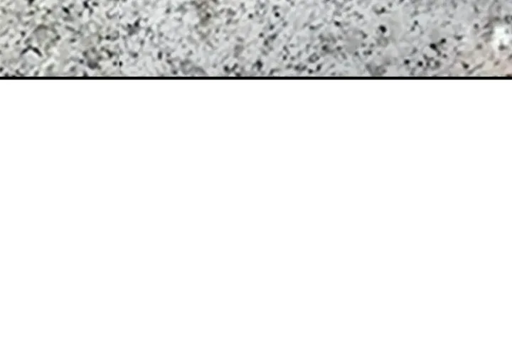 The Queen’s Life was At Stake Chapter 62 page 43