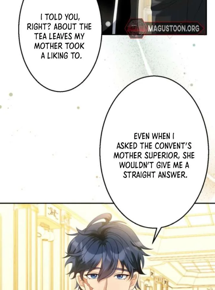 The Retired Villainess Wants to Live Quietly Chapter 14 page 33
