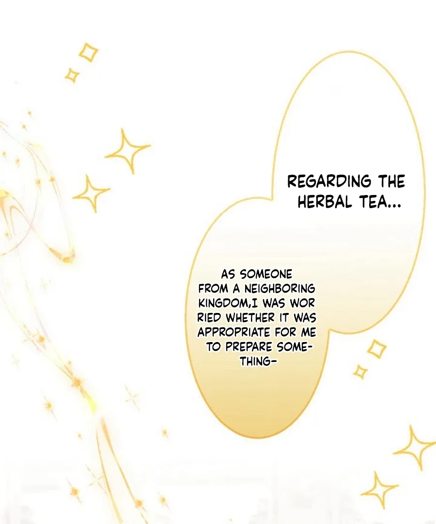 The Retired Villainess Wants to Live Quietly Chapter 17 page 2