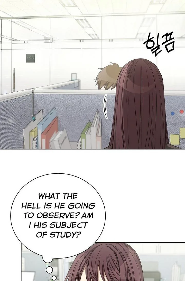 The Runway Chapter 26 page 42