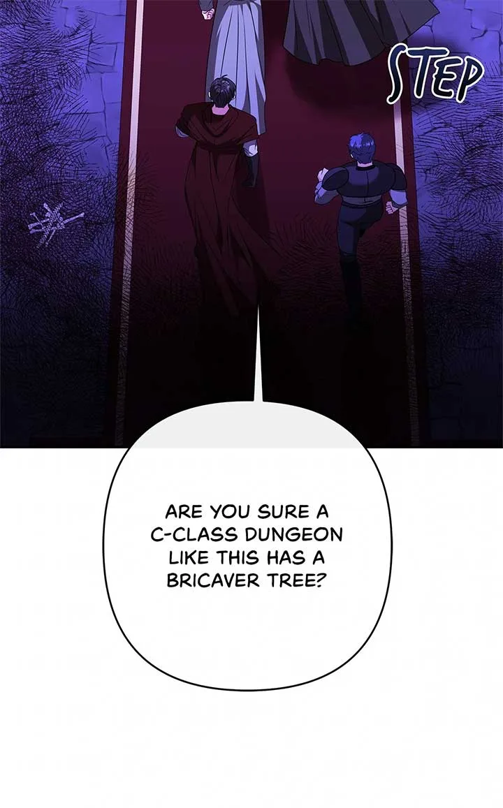 The S-Class Dungeon Owner Chapter 60 page 27