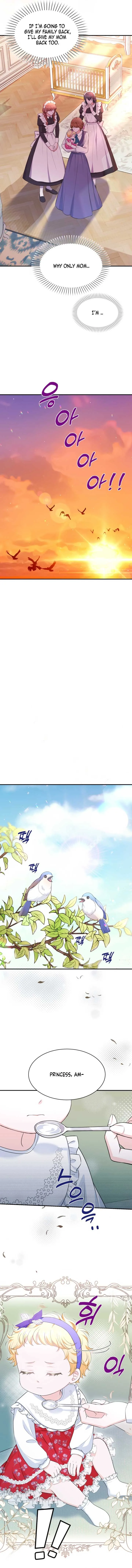 The S-Class Little Princess Is Too Strong Chapter 5 page 7