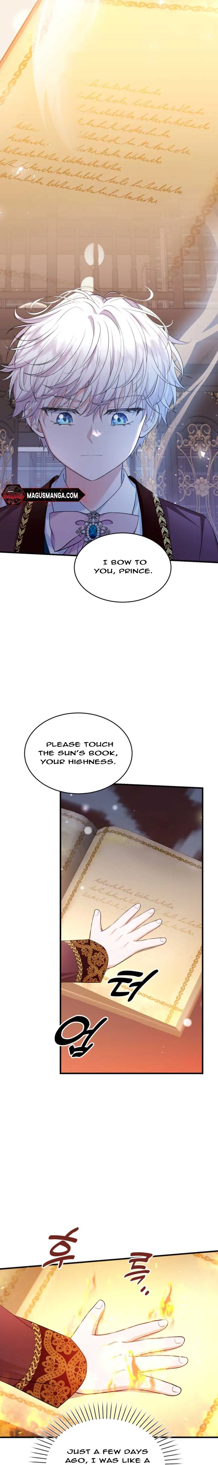 The S-Class Little Princess Is Too Strong Chapter 9 page 25