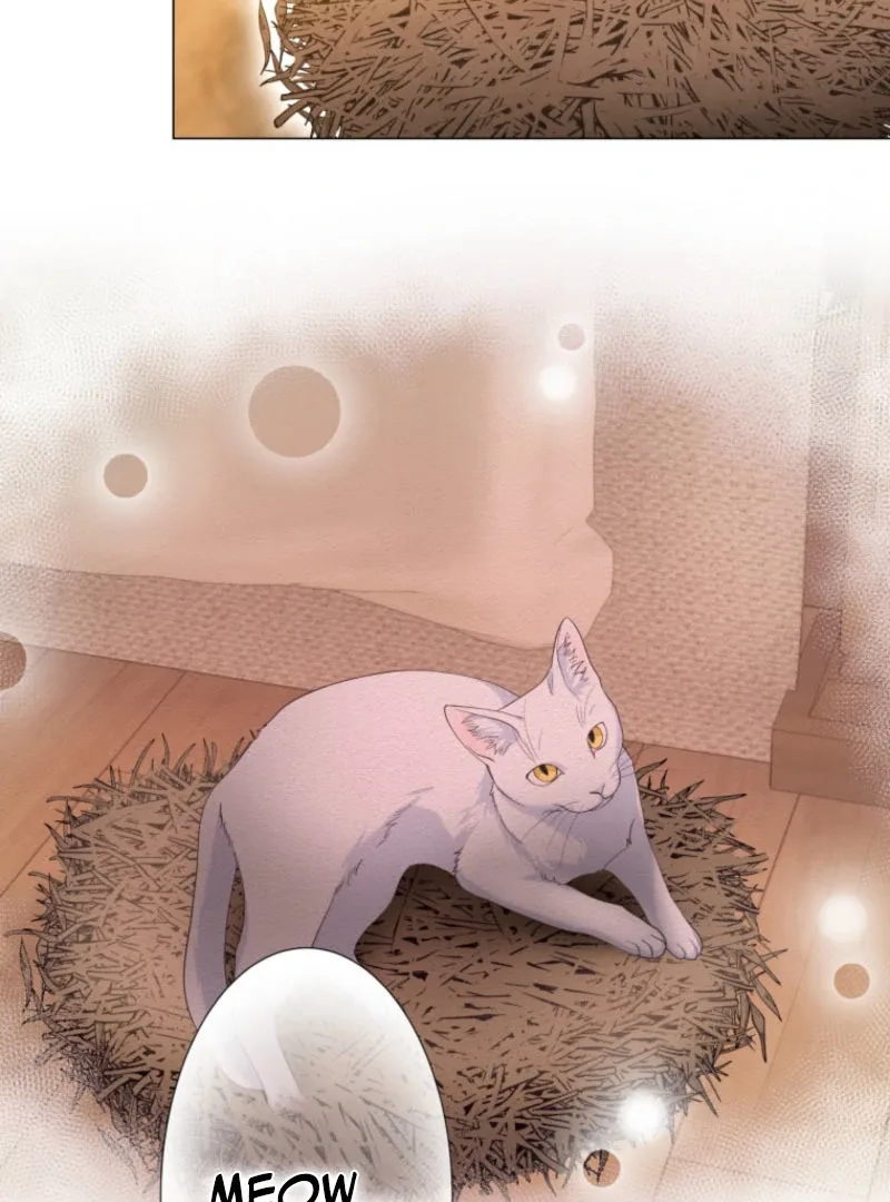 The Saint Who Wishes for Death Makes a Pact with the Cursed Prince Chapter 25 page 69