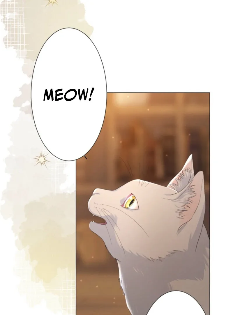 The Saint Who Wishes for Death Makes a Pact with the Cursed Prince Chapter 25 page 66