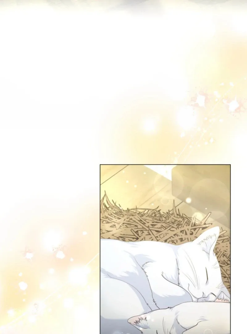 The Saint Who Wishes for Death Makes a Pact with the Cursed Prince Chapter 25 page 4