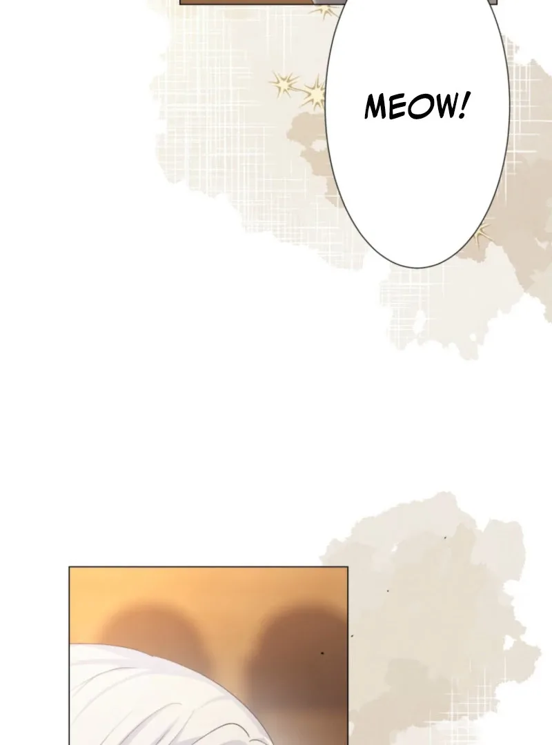 The Saint Who Wishes for Death Makes a Pact with the Cursed Prince Chapter 25 page 67