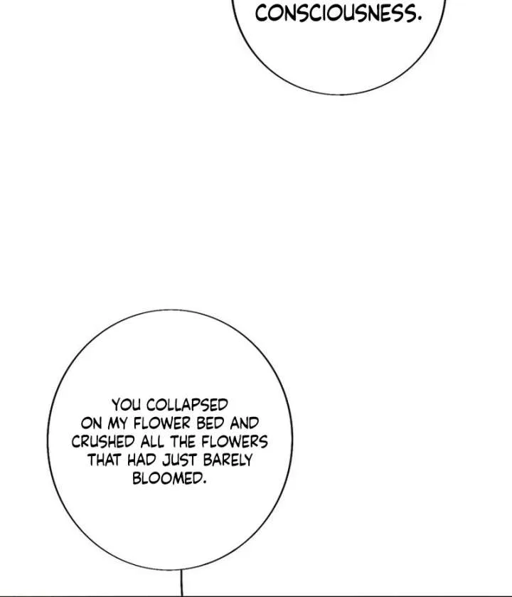The Secret Garden Chapter 1 page 311