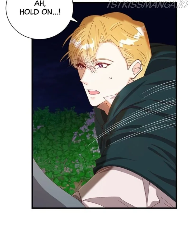 The Secret Life of a Certain Count’s Lady Chapter 11 page 47