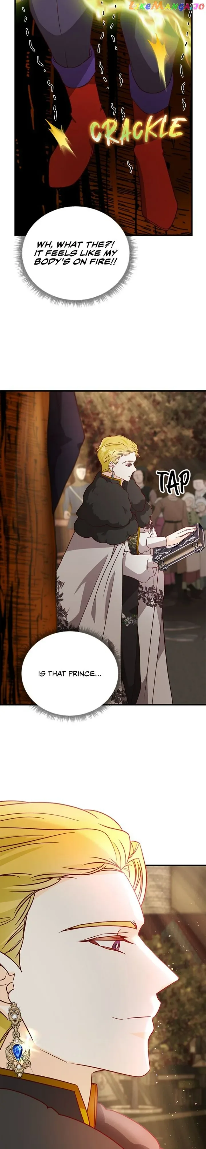 The Secret Life of a Certain Count’s Lady Chapter 49 page 27