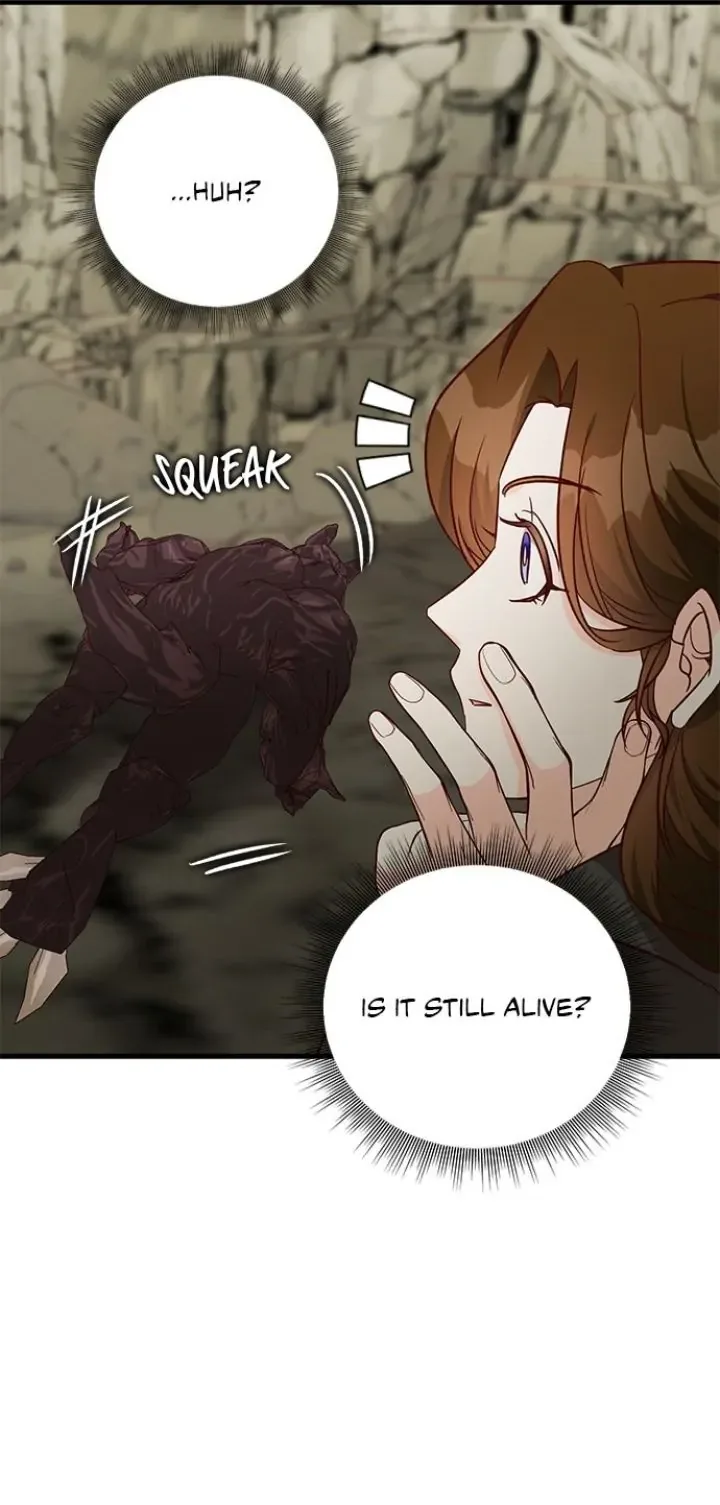 The Secret Life of a Certain Count’s Lady Chapter 68 page 11