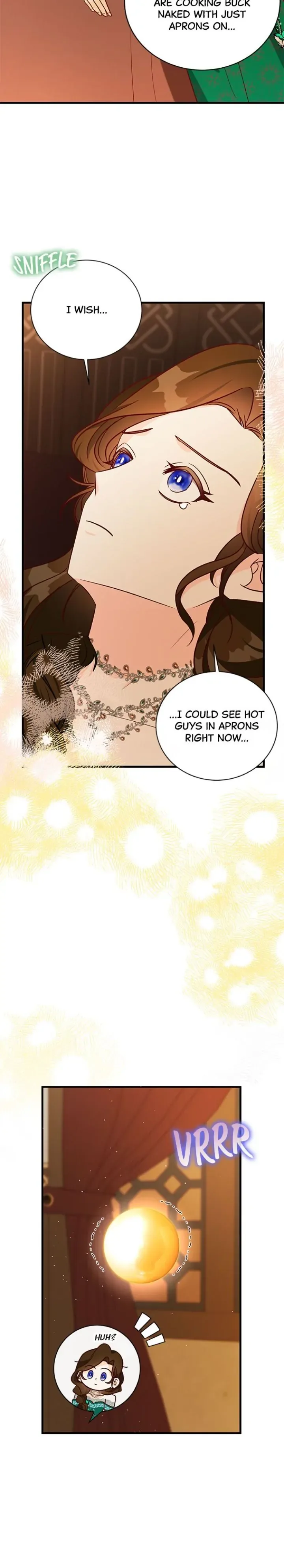The Secret Life of a Certain Count’s Lady Chapter 65 page 19