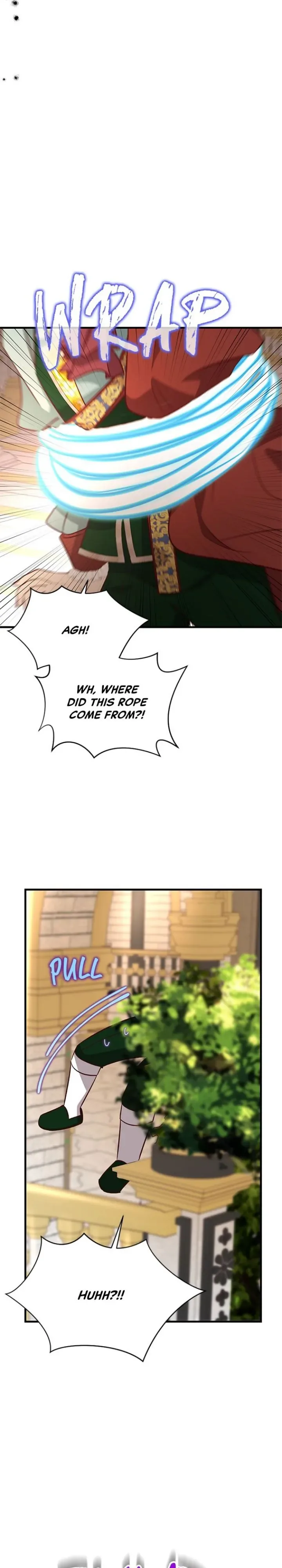 The Secret Life of a Certain Count’s Lady Chapter 64 page 25