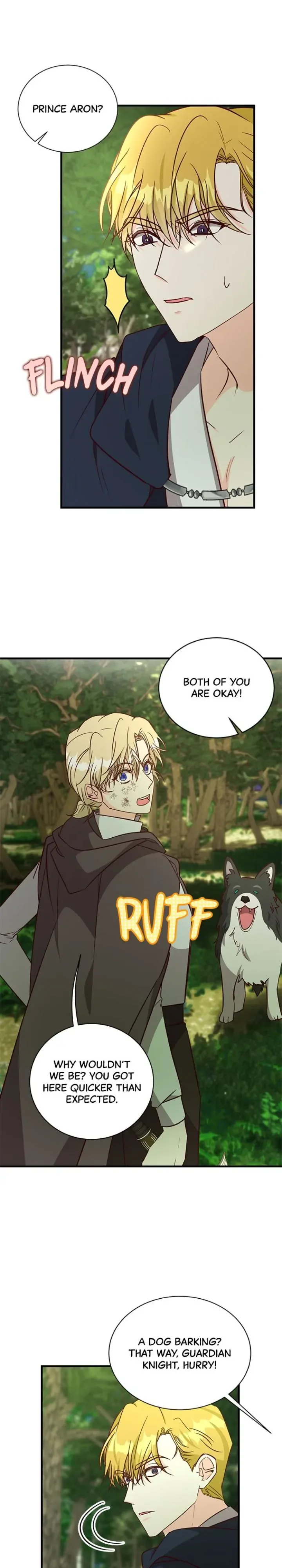 The Secret Life of a Certain Count’s Lady Chapter 66 page 17