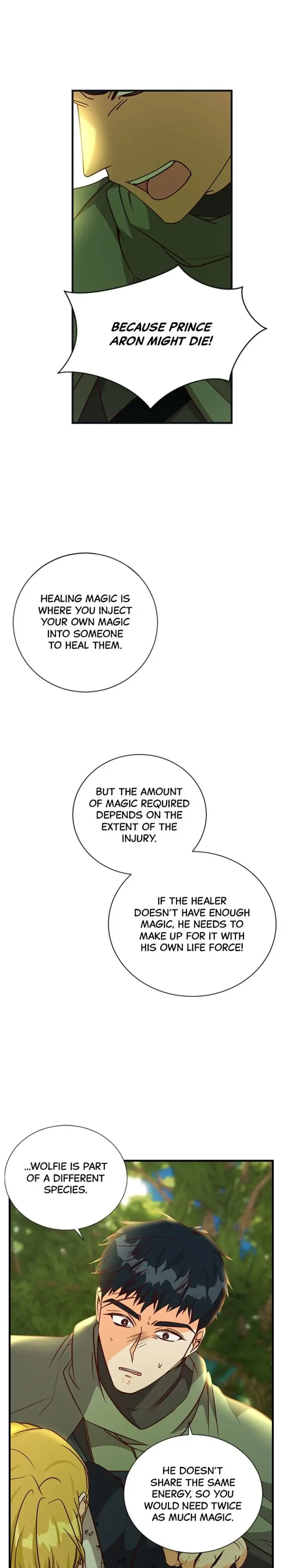 The Secret Life of a Certain Count’s Lady Chapter 66 page 30
