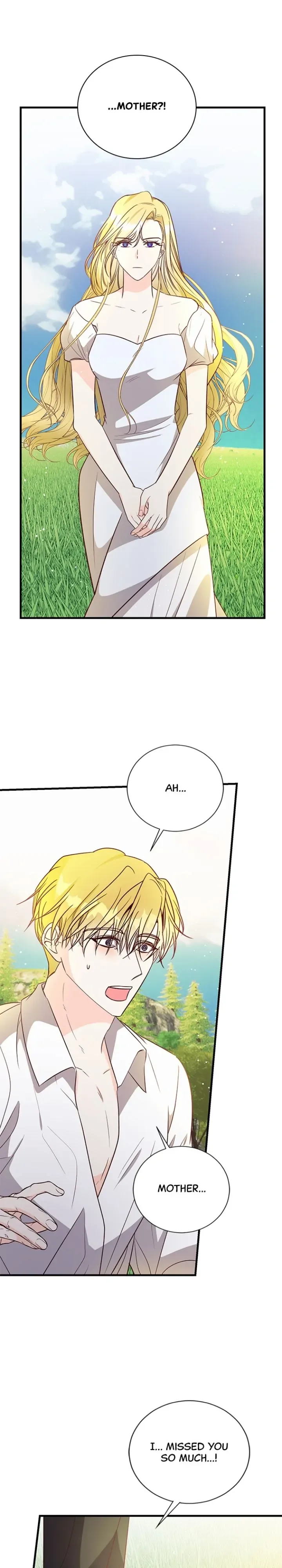The Secret Life of a Certain Count’s Lady Chapter 80 page 29