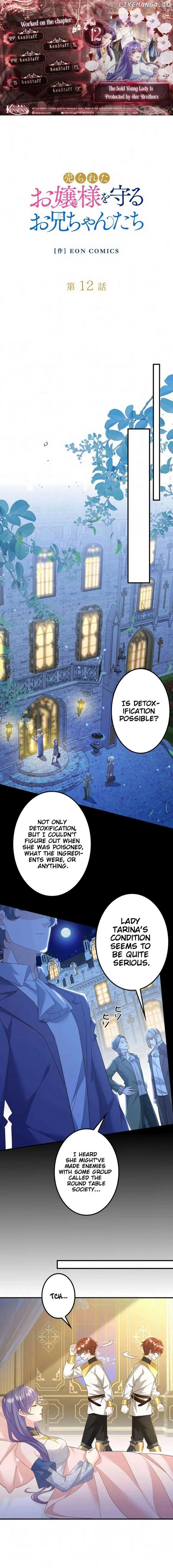 The Sold Young Lady Is Protected by Her Brothers Chapter 12 page 2