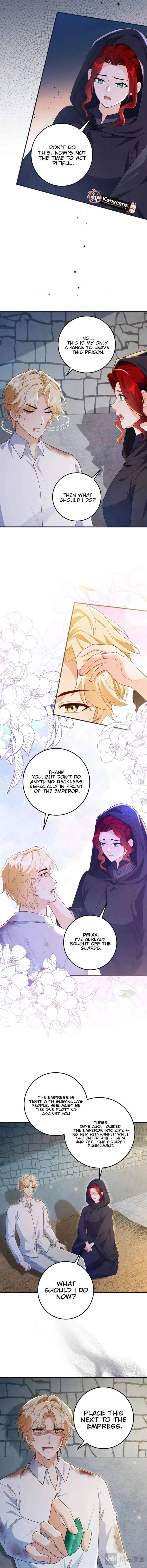 The Sold Young Lady Is Protected by Her Brothers Chapter 32 page 13