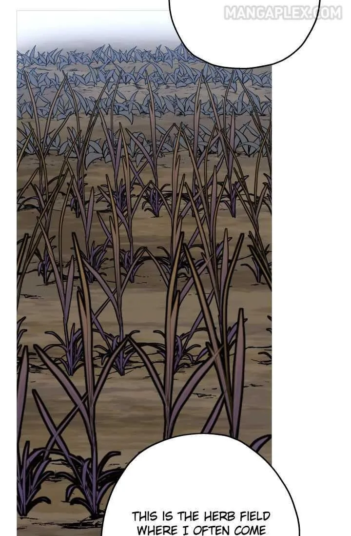 The Story of a Low-Rank Soldier Becoming a Monarch Chapter 51 page 81