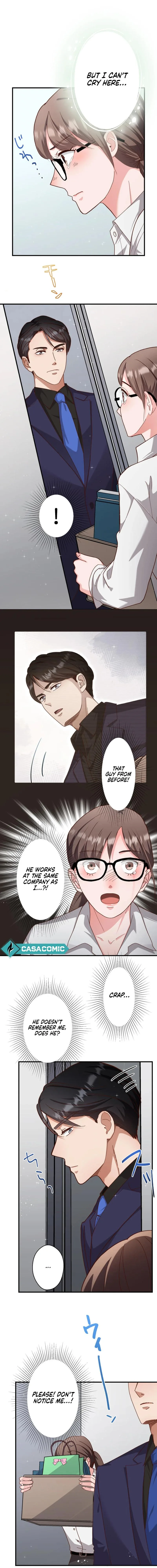 The Straight Laced Heir and the Secret Fake Love Marriage Chapter 2 page 15