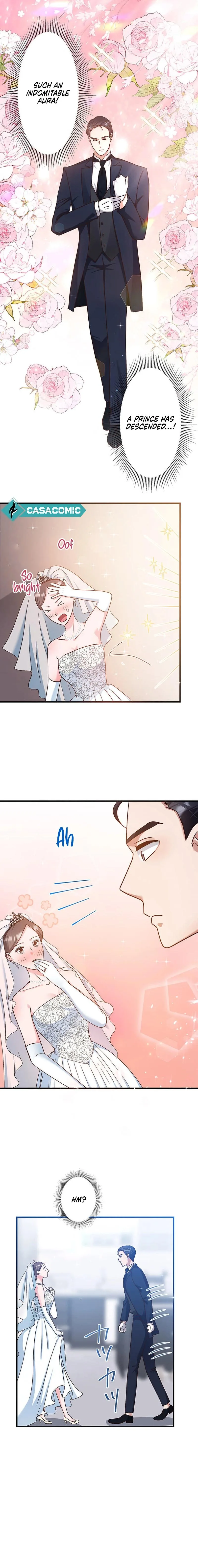 The Straight Laced Heir and the Secret Fake Love Marriage Chapter 7 page 12