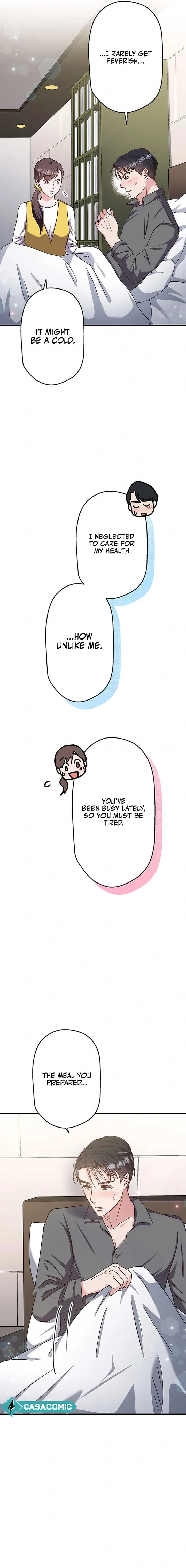 The Straight Laced Heir and the Secret Fake Love Marriage Chapter 16 page 17