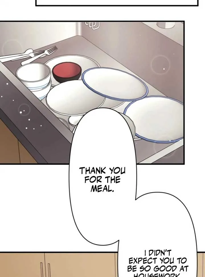 The Stray Cat Who Doesn’t Know the Greatest Love Song Chapter 3 page 7