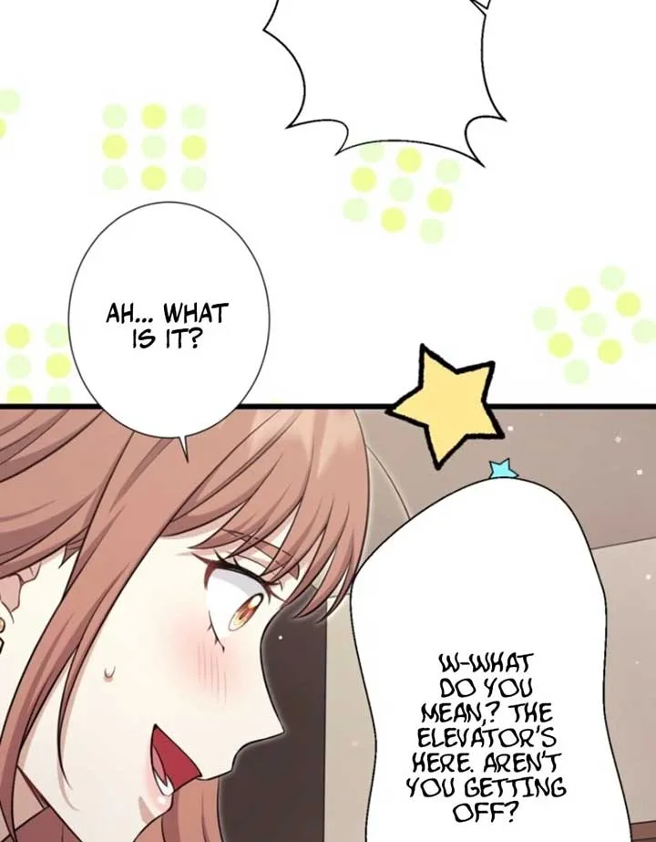 The Stray Cat Who Doesn’t Know the Greatest Love Song Chapter 2 page 21