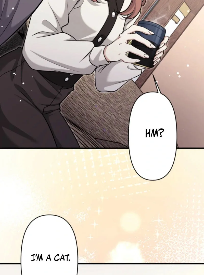 The Stray Cat Who Doesn’t Know the Greatest Love Song Chapter 13 page 40