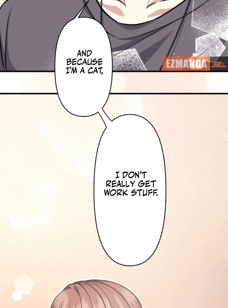 The Stray Cat Who Doesn’t Know the Greatest Love Song Chapter 13 page 42