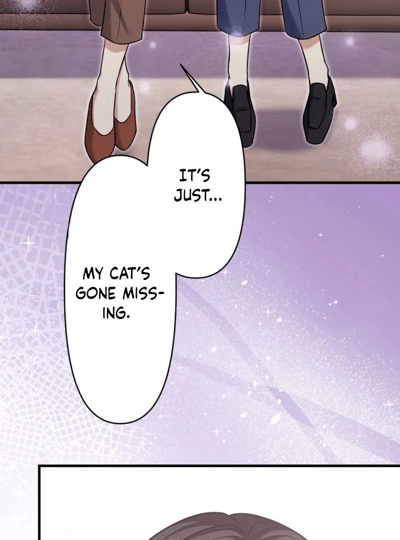 The Stray Cat Who Doesn’t Know the Greatest Love Song Chapter 15 page 42