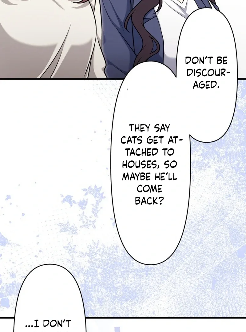 The Stray Cat Who Doesn’t Know the Greatest Love Song Chapter 15 page 45