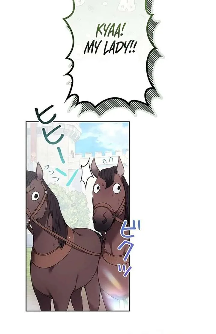 The Strong lady Wishes to Become Delicate Chapter 17 page 15