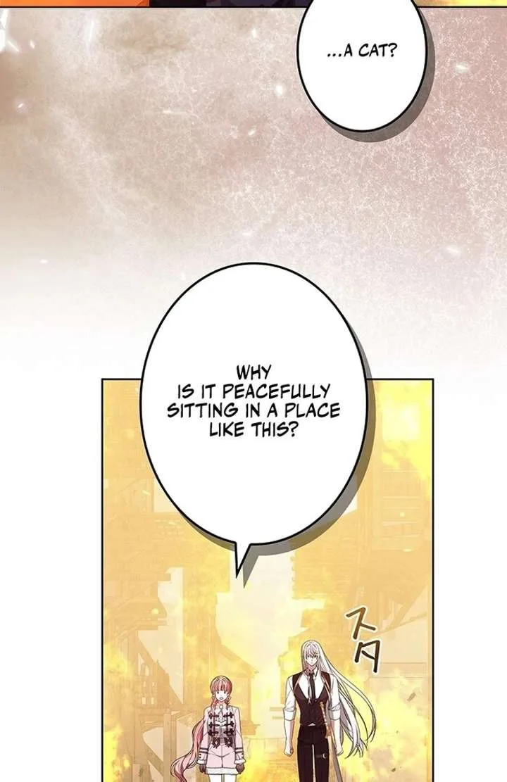 The Strong lady Wishes to Become Delicate Chapter 18 page 42