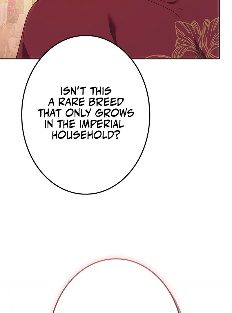 The Strong lady Wishes to Become Delicate Chapter 20 page 105