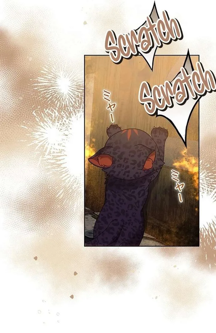 The Strong lady Wishes to Become Delicate Chapter 18 page 49