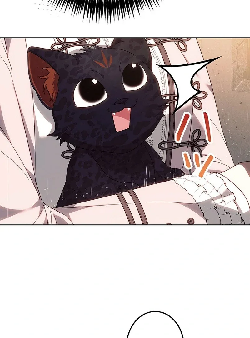The Strong lady Wishes to Become Delicate Chapter 22 page 40