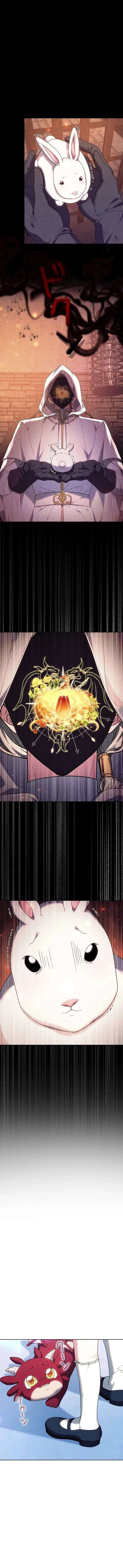 The Strong lady Wishes to Become Delicate Chapter 32 page 13