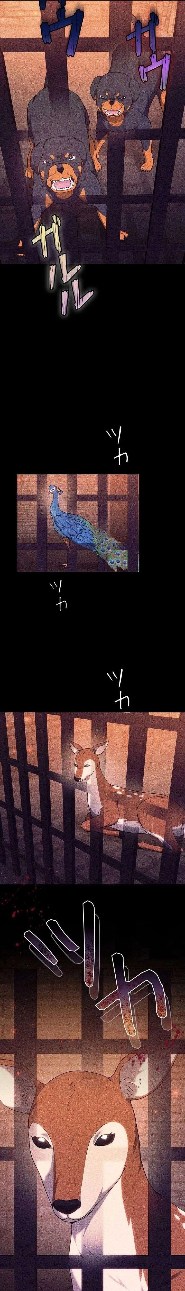 The Strong lady Wishes to Become Delicate Chapter 32 page 11
