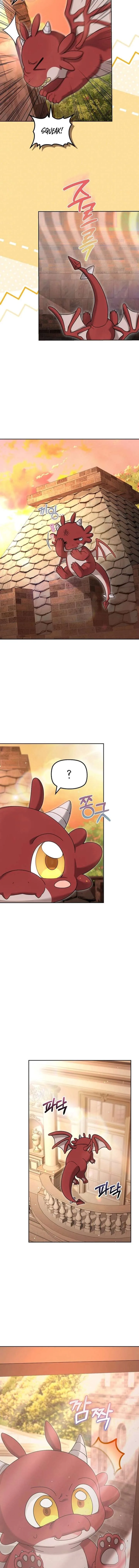 The Strong lady Wishes to Become Delicate Chapter 37 page 14