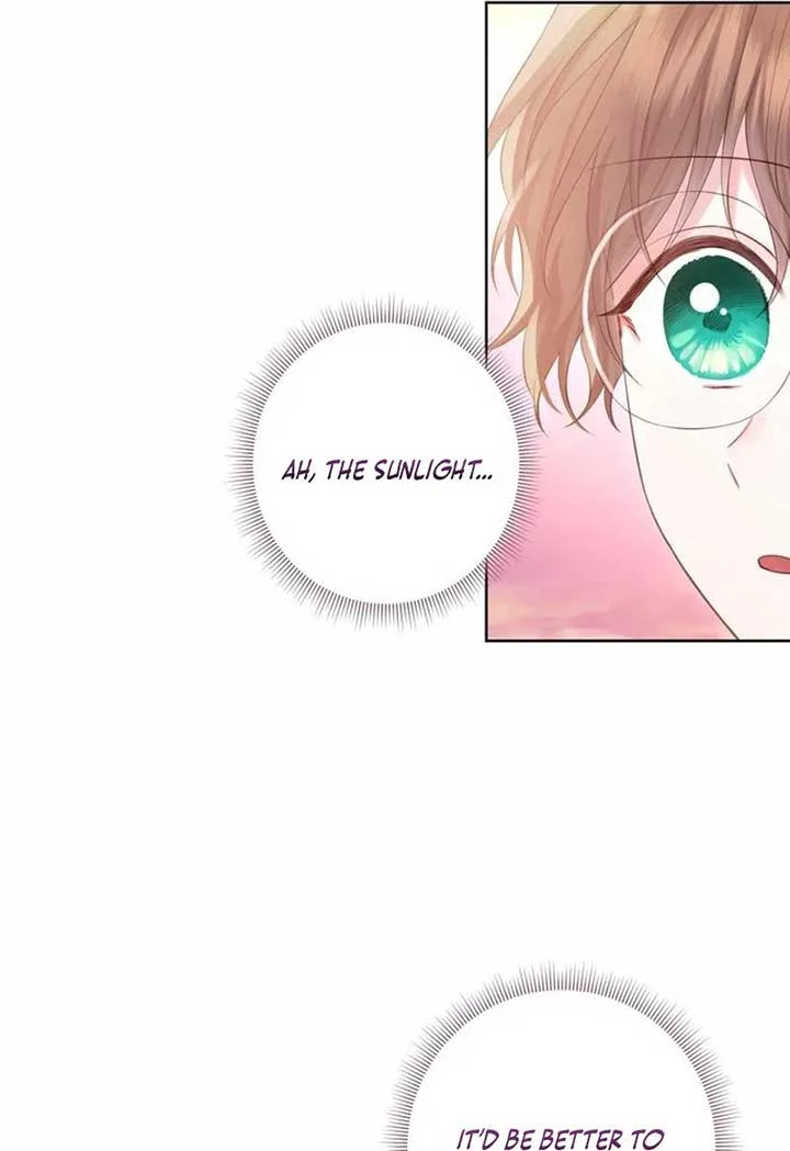 The Strongest Brother Lost His Memory Chapter 27 page 27