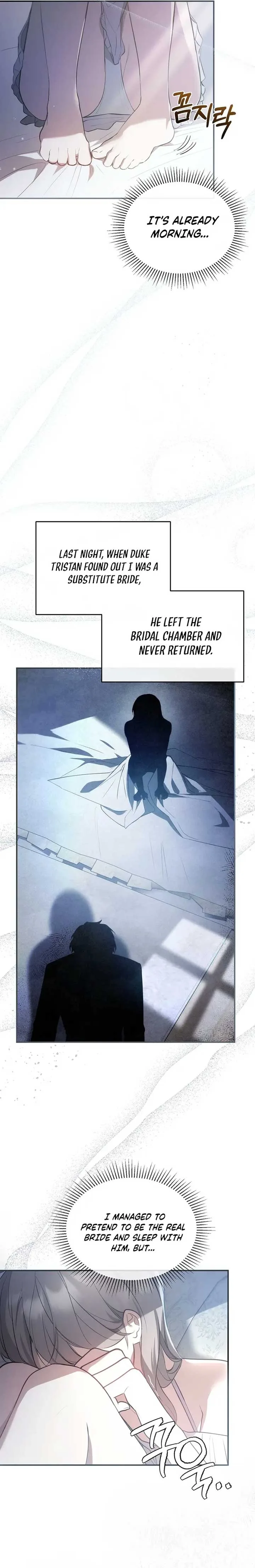 The Substitute Bride Chapter 2 page 13