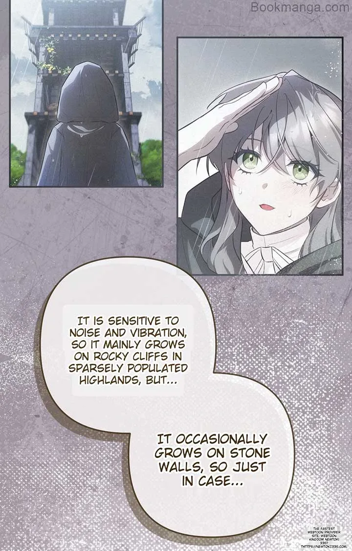 The Substitute Bride Chapter 9 page 9