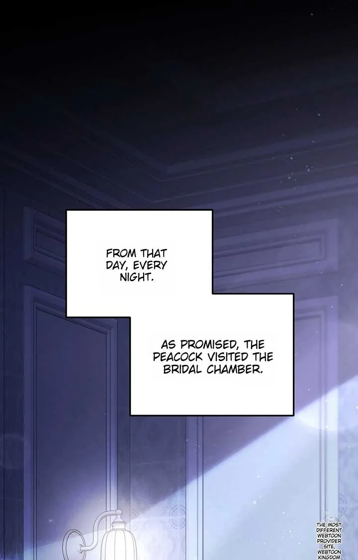The Substitute Bride Chapter 10 page 14