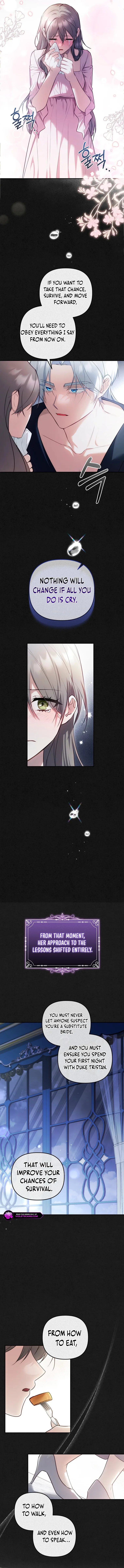 The Substitute Bride Chapter 29 page 7