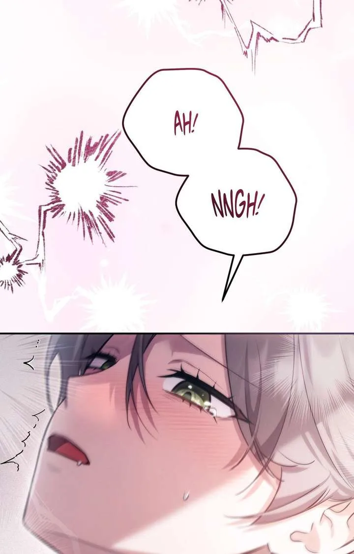 The Substitute Bride Chapter 49 page 65