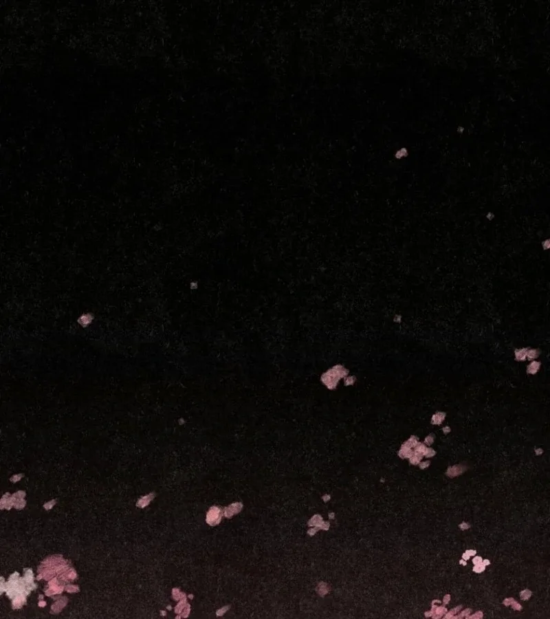 The Summer Swallowed by Darkness Chapter 18 page 3