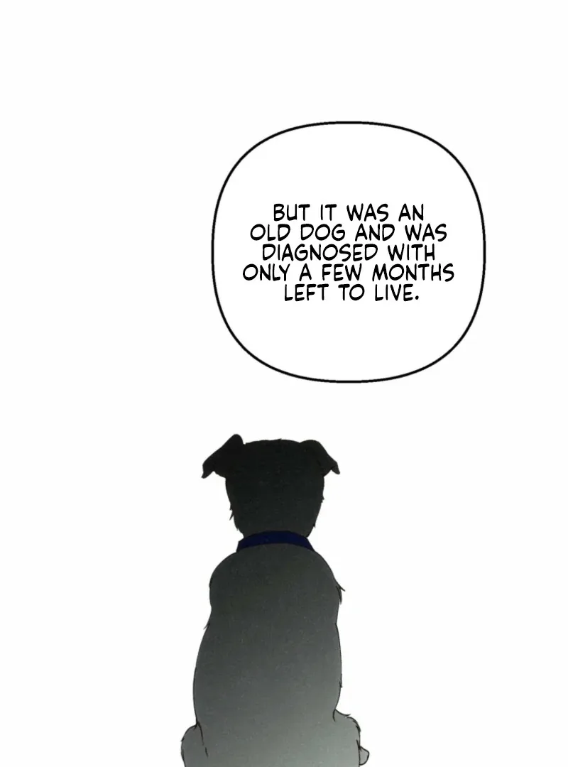 The Summer Swallowed by Darkness Chapter 22 page 11
